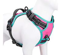 PHOEPET 2019 Upgraded No Pull Dog Harness, Reflective Adjustable Vest, with a Training Handle + 2 Metal Leash Hooks+ 3 Snap Buckles +4 Slide Buckles(XS, Pink)