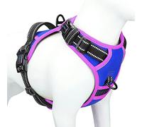 PHOEPET 2019 Upgraded No Pull Dog Harness, Reflective Adjustable Vest, with a Training Handle + 2 Metal Leash Hooks+ 3 Snap Buckles +4 Slide Buckles(XS, Royal Blue)
