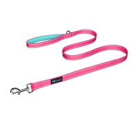 PHOEPET 5 Feet Dog Leash with Comfortable Padded Handle Easy Snap Clasp - Reflective Walking Lead for Large, Medium & Small Breed Dogs (Pink + Mint Green Base)
