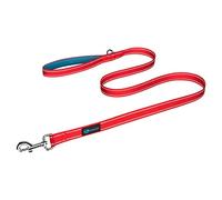 PHOEPET 5 Feet Dog Leash with Comfortable Padded Handle Easy Snap Clasp - Reflective Walking Lead for Large, Medium & Small Breed Dogs (Red + Teal Base)