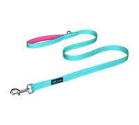 PHOEPET 5 Feet Dog Leash with Comfortable Padded Handle Easy Snap Clasp - Reflective Walking Lead for Large, Medium & Small Breed Dogs (Mint Green + Pink Base)