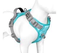 PHOEPET Anti-Pull Dog Harness, Reflective Adjustable Puppy Safety Harness for Small, Medium and Large Dogs (M,Mint Green Base & Grey Straps)
