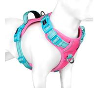PHOEPET Anti-Pull Dog Harness, Reflective Adjustable Puppy Safety Harness for Small, Medium and Large Dogs (L, Pink Base & Green Straps)