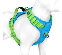PHOEPET Anti-Pull Dog Harness, Reflective Adjustable Puppy Safety Harness for Small, Medium and Large Dogs (L, Blue Base & Green Carriers)