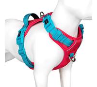 PHOEPET Dog Harness No Pull, Escape Proof Adjustable Vest, Reflective Choke Free Harness with Easy Control Handle for Small Medium Large Dogs Walking and Training(Red Base & Teal Straps,S)