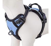 PHOEPET No Pull Dog Harness 3M Reflective Adjustable With 2 Metal Leash Hooks And Soft Training Handle [Over The Head Design](S, Haze Blue)