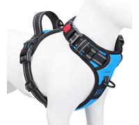 PHOEPET No Pull Dog Harness Adjustable Dog Vest Harness for Daily Walking with Buckle at Neck and Reflective Strips, Control Handle for Small，Medium and Large Dogs(Blue,L)