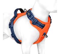 PHOEPET No Pull Dog Harness, Unique Colors Reflective Adjustable Dog Vest, with Soft Training Handle Metal Clips for Small Medium Large Dogs (Orange Base & Blue Straps,L)