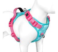 PHOEPET No Pull Dog Harness, Unique Colors Reflective Adjustable Dog Vest, with Soft Training Handle Metal Clips for Small Medium Large Dogs (Mint Green Base & Pink Straps,S)