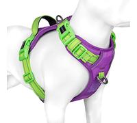 PHOEPET No Pull Dog Vest Harness with Unique Colors，Adjustable Reflective No-Choke Pet Harness with Easy Control Handle and Metal Clips for Small Medium Large Dogs(Purple Base & Green Straps,L)