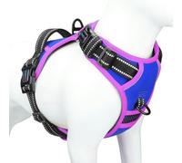 PHOEPET Upgraded No Pull Dog Harness, Reflective Adjustable Vest, with a Training Handle + 2 Metal Leash Hooks+ 3 Snap Buckles +4 Slide Buckles(M, Royal Blue)
