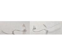 Phonak Hearing Aid Micro Tubes pack of 2 tubes (1 x Size 2B-Right and 1 x Size 2BLeft) by Phonak