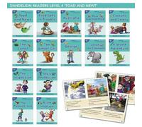 Phonic Books Dandelion Readers Vowel Spellings Level 4 in White Phonic Books White