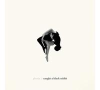 Phoria - Caught a Black Rabbit