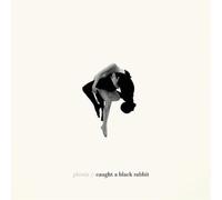 Phoria - Caught a Black Rabbit