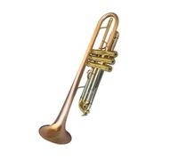 Phosphor Bronze B Flat Trumpet Beginner Trumpet | Gold Lacquer Finish Exquisite Craftsmanship