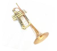 Phosphor Copper B Flat Brass Gold-painted Durable With Mouthpiece Gloves Strap Case