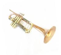 Phosphor Copper Trumpet Bb Flat Brass Gold-painted Durable Musical Instrument With Mouthpiece Gloves Strap Case