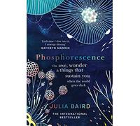 Phosphorescence: On awe, wonder & things that sustain you when the world goes dark