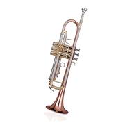 Phosphorus Bronze B flat Trumpet Brass Instruments Beginners Standard Trumpet