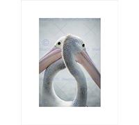 PHOTO ANIMALS TWO PELICANS HEADS NECKS BILL BLACK FRAMED ART PRINT B12X13288