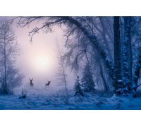 Photo Art Wall Mural-DEER BLUE-(7160)-NON WOVEN-Wallpaper-Sky Nature Forest XXL