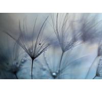 Photo Art Wall Mural-FLOWER LINE-(6457)-NON WOVEN-Wallpaper-Nature Vibe Drop XXL