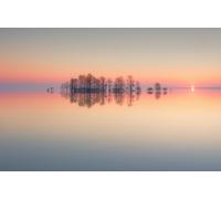 Photo Art Wall Mural-TREES OCÉAN SUN-(6992)-NON WOVEN-Wallpaper-Unique Sky XXL