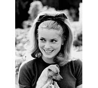 Photo Deneuve Catherine 04 A4 10x8 Poster Print