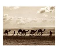 Photo Egyptian Camel Train Caravan Desert Panorama Art Print Canvas Premium Wall Decor Poster Mural