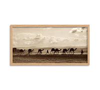 Photo Egyptian Camel Train Caravan Desert Panorama Framed Wall Art Print Long 25X12 Inch