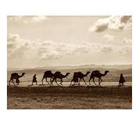 Photo Egyptian Camel Train Caravan Desert Panorama Premium Wall Art Canvas Print 18X24 Inch