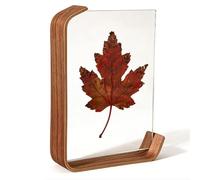Photo Frame Double-Sided 3D Transparent Picture for Displaying Plant Specimens, Embossed Flowers(Walnut,14 * 21cm)