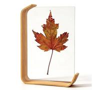 Photo Frame Double-Sided 3D Transparent Picture for Displaying Plant Specimens, Embossed Flowers(Wood,12.7 * 17.8cm)