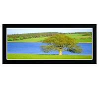 Photo Frame Modern Black Acrylic Glass Wood Picture Frame 70cm x 20cm Wall Mounted