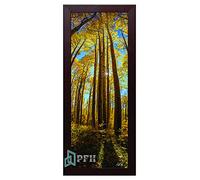 Photo Frames Mahogany 100cm x 40cm Modern Flat Style Wood Picture Poster Frame Front Acrylic Glass
