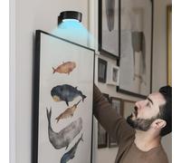 Photo Lights for Wall - Auto-Off Battery Operated Picture Light with Remote Control 3-Piece | Cordless Art Lighting for Library Gallery Garage Hallway