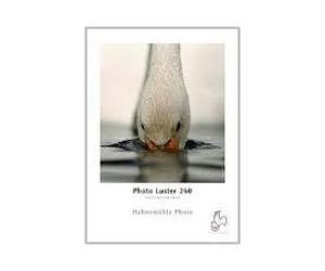 Photo Luster - 24in WESTDIST-10643171