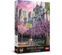 Photo Odyssey: Notre-Dame Cathedral of Paris