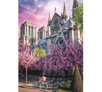 Photo Odyssey: Notre-Dame Cathedral of Paris