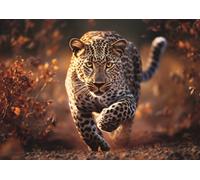 Photo Odyssey: Wild Leopard