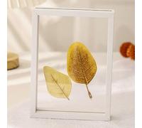 Photo Picture Frame, Double Sided Transparent Photo Frame Dry Leaves Specimen Desktop Display Black White Wood Grain 5-8 Inches Square 6-8 Inches A4(White,6 inches)