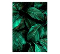 Photo Picture Poster Wall Art Decor 21.00x29.70cm Beautiful turquoise leaves No. H10696M_PL1A4
