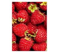 Photo Picture Poster Wall Art Decor 29.70x42.00cm Juicy ripe raspberries No. H10732M_PL1A3