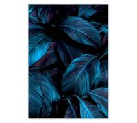 Photo Picture Poster Wall Art Decor 59.40x84.10cm Beautiful blue leaves No. H10695M_PL1A1