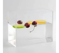 Photo Posing Props Photography Creative Tray, Floating Photo Props Clear Deep Water Tank, Portable Food Cosmetic Storage Box, for Advertising Photo Posing Props(60x30x40cm)