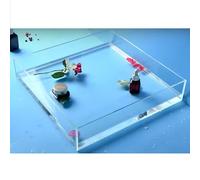 Photo Posing Props Photography Creative Tray, Photography Tray for Shooting Low Water Tank, 5mm Thick Storage Display Box, Advertising Shooting Props Multifunctional Storage Box(60x60x6cm)