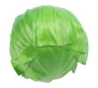 Photo-Ready Cabbage Model E-commerce Mockups, Catalog Shoots, And Digital Marketing Assets(C)