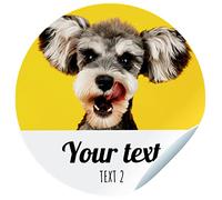Photo Stickers for Pets, Personalised Stickers with Two Texts for the Funniest of the House: Dog, Cat, Rabbit... Measures 45 mm / 60 mm / 70 mm in diameter.