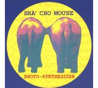 Photo Synthesizer by Sha'Cho Mouse